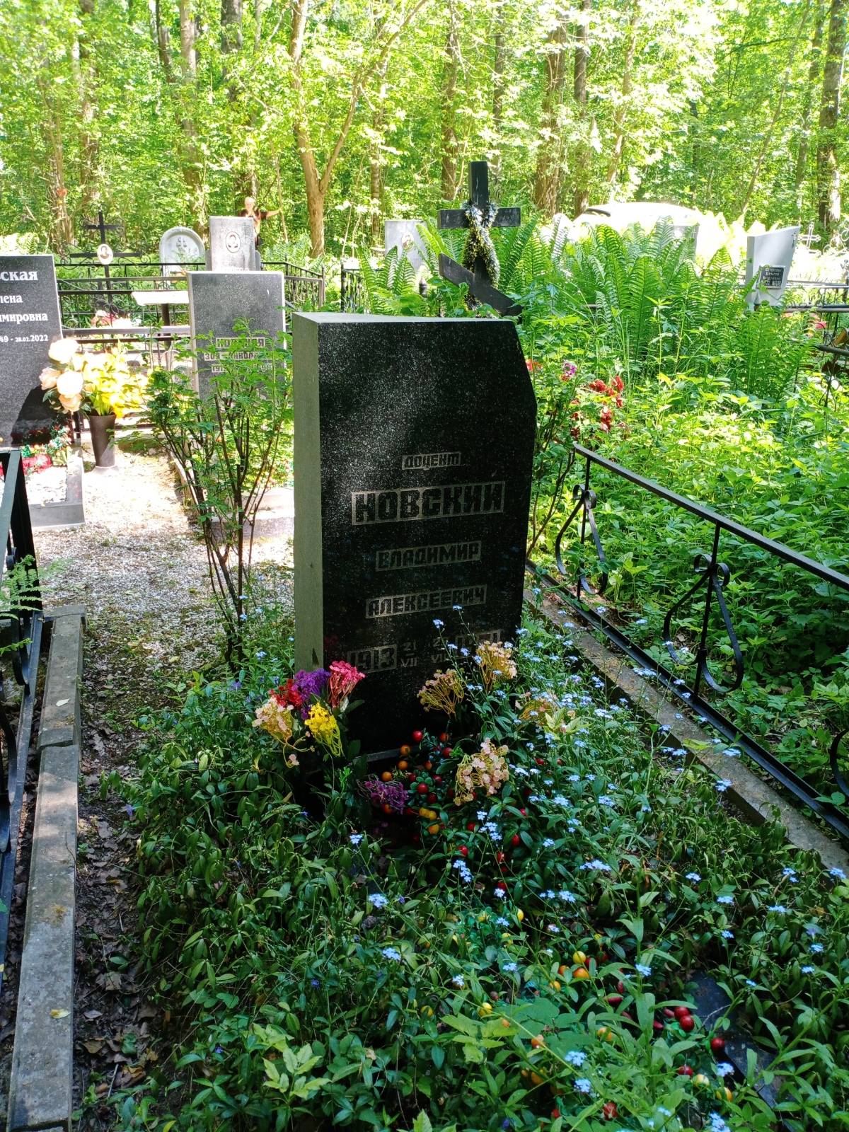 Новский Владимир Алексеевич