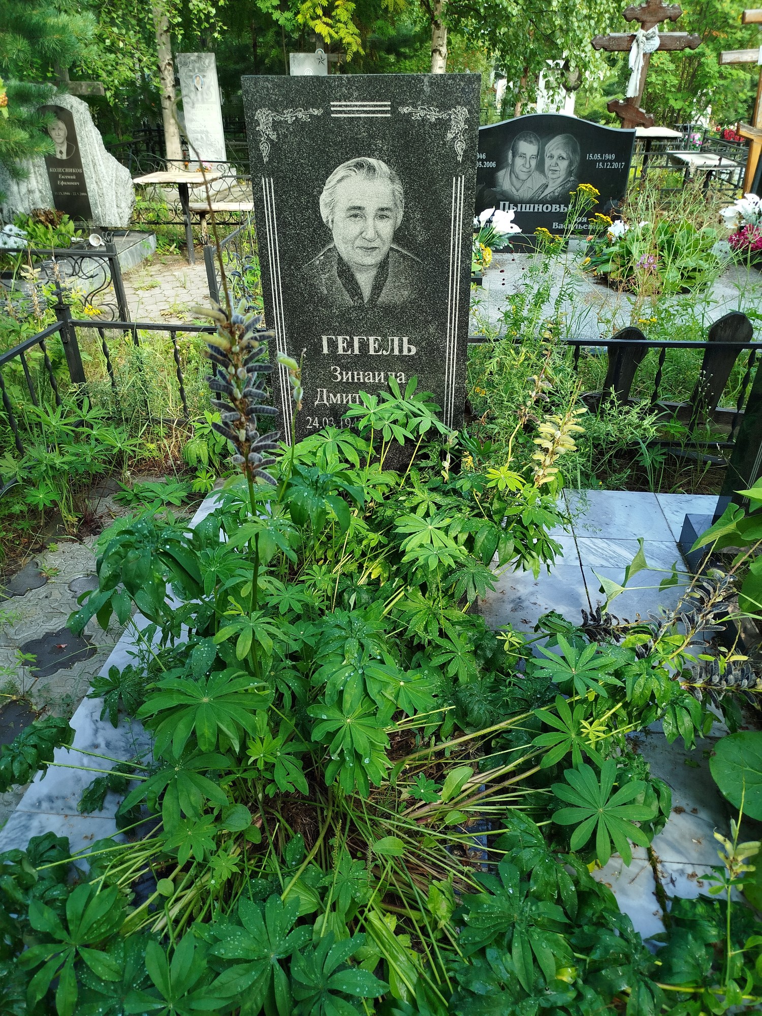 Гегель Зинаида Дмитриевна