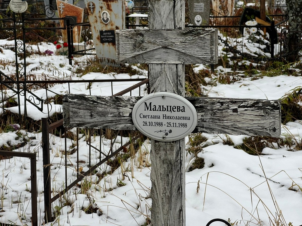 Мальцева Светлана Николаевна