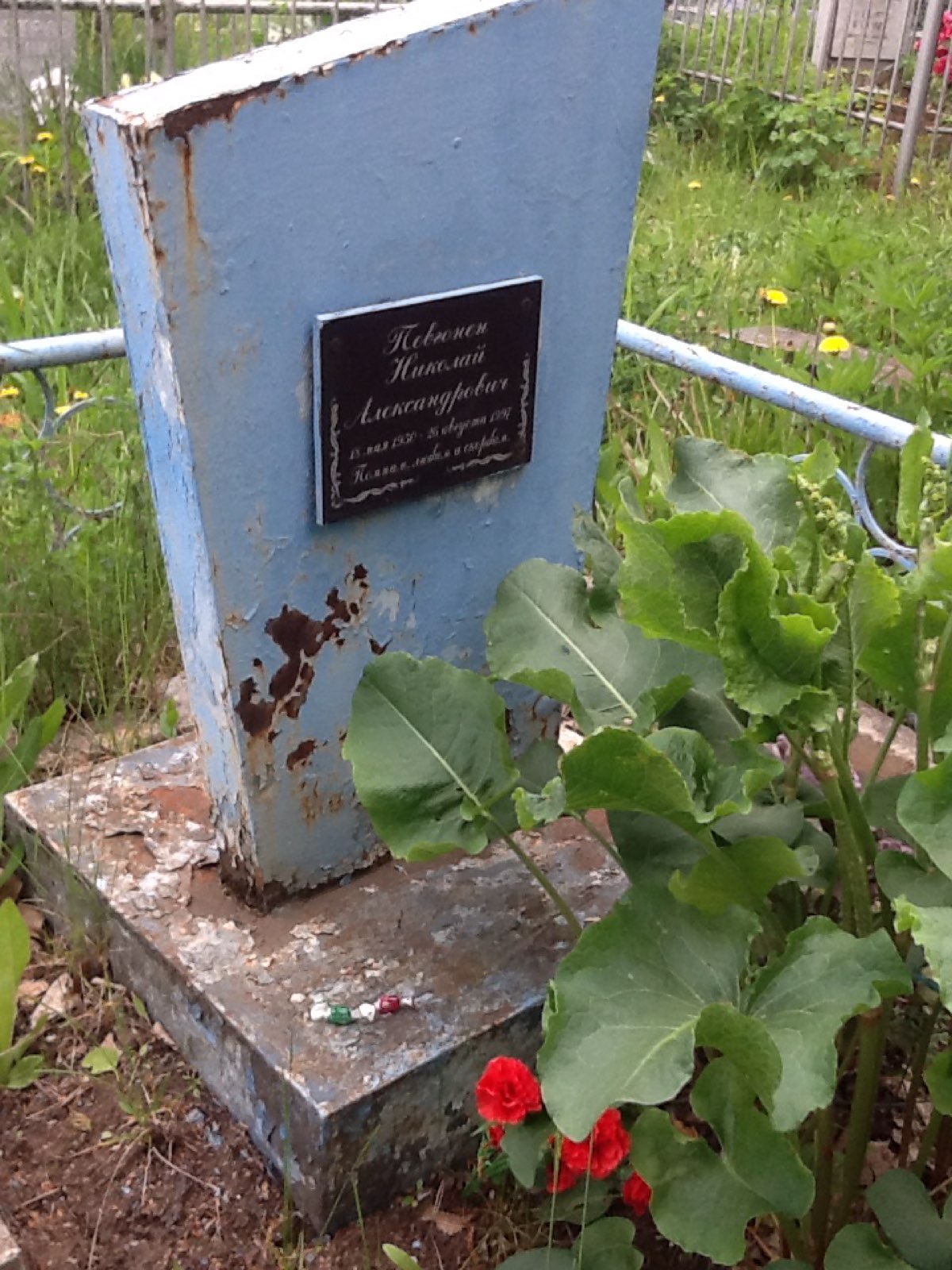 Певгонен Николай Александрович
