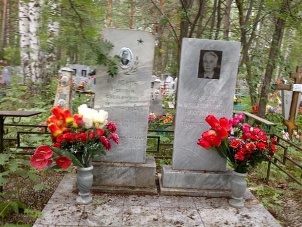 Возовик Владимир Николаевич