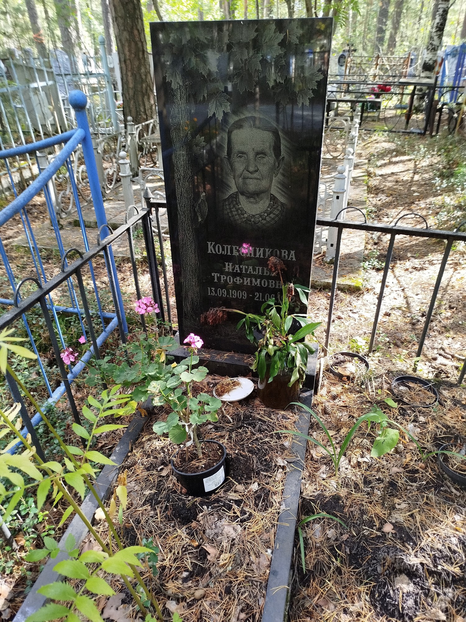 Колесникова Наталья Трофимовна