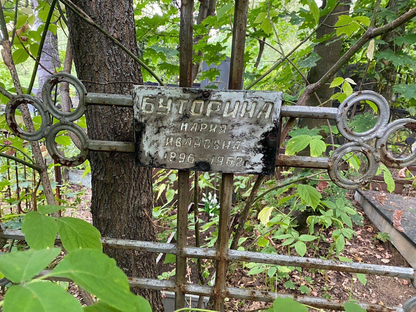 Буторина