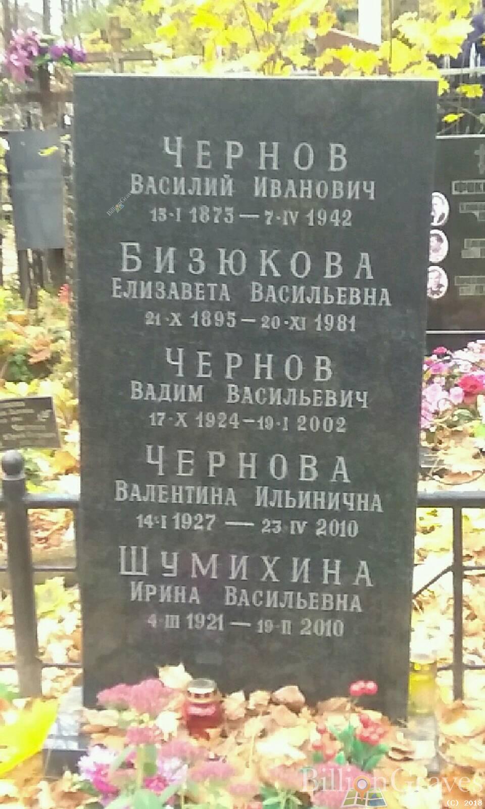 бизюкова елизавета васильевна