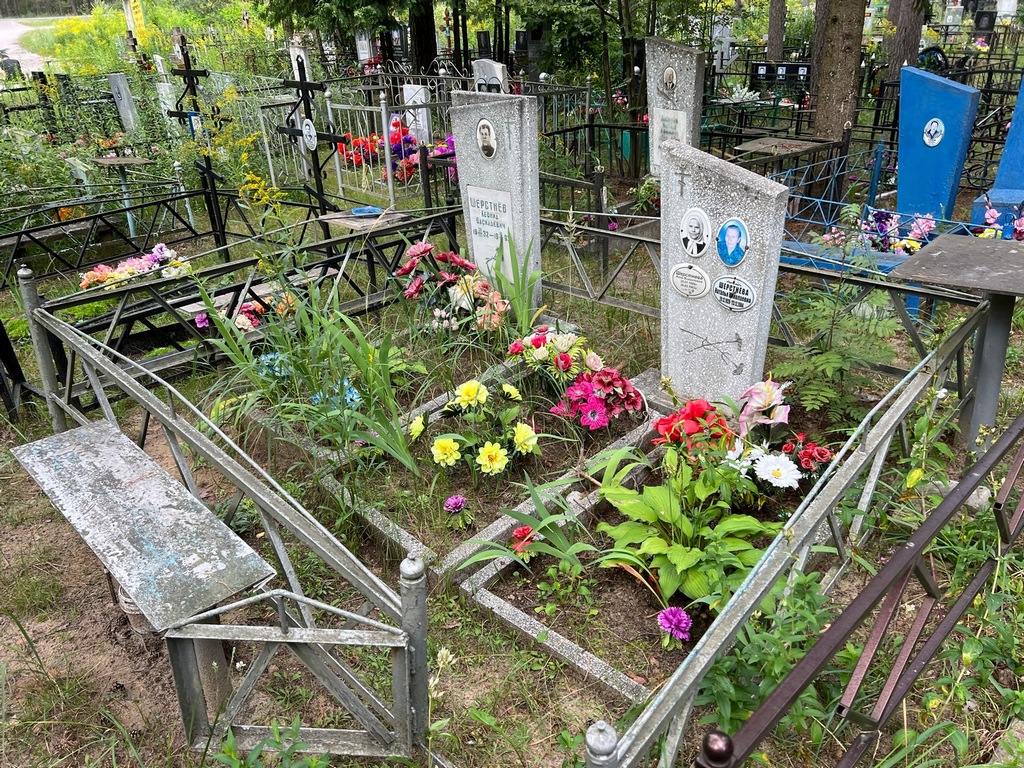Шерстнева Анна Михайловна