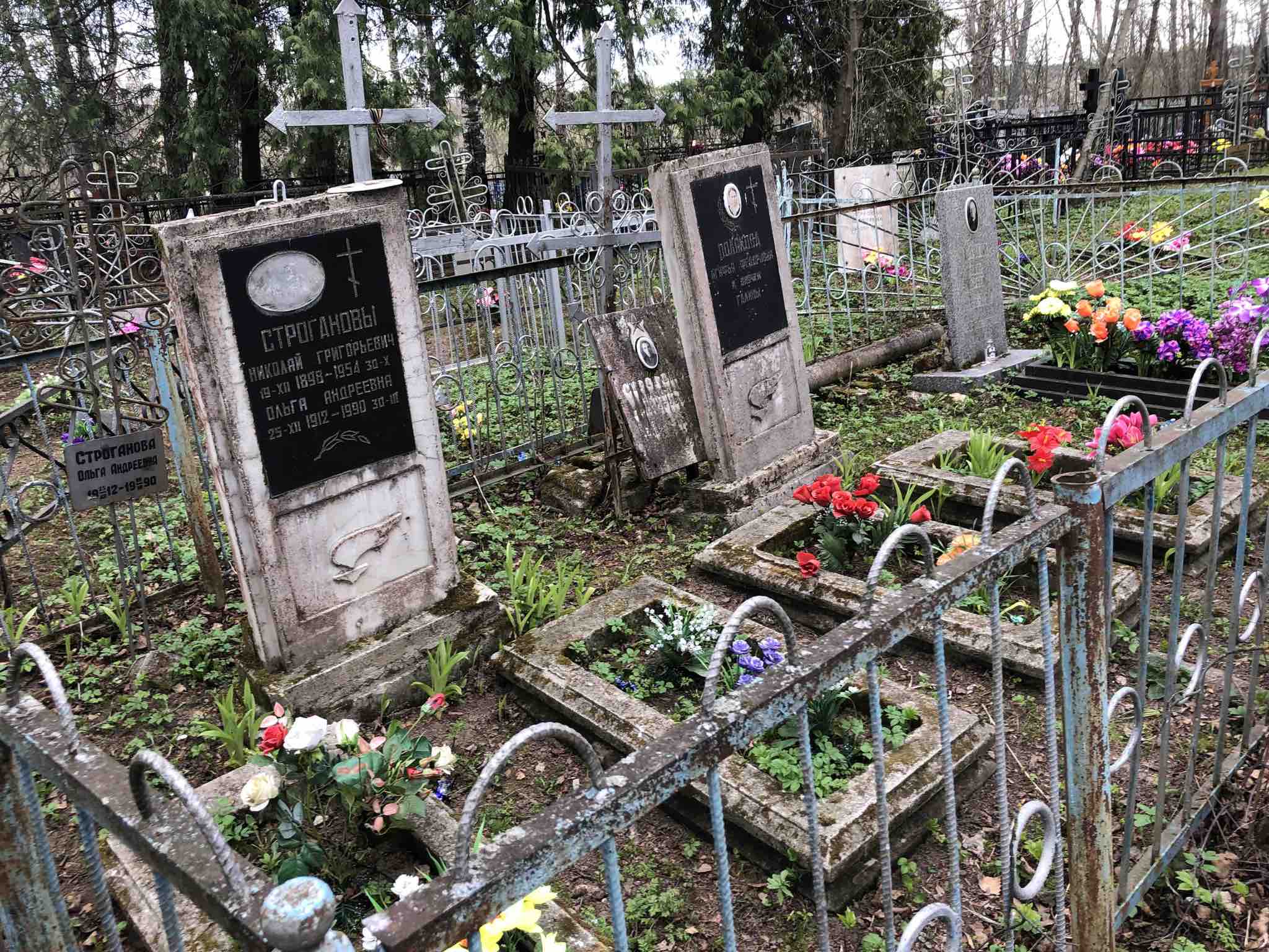 Строганова Ольга Андреевна