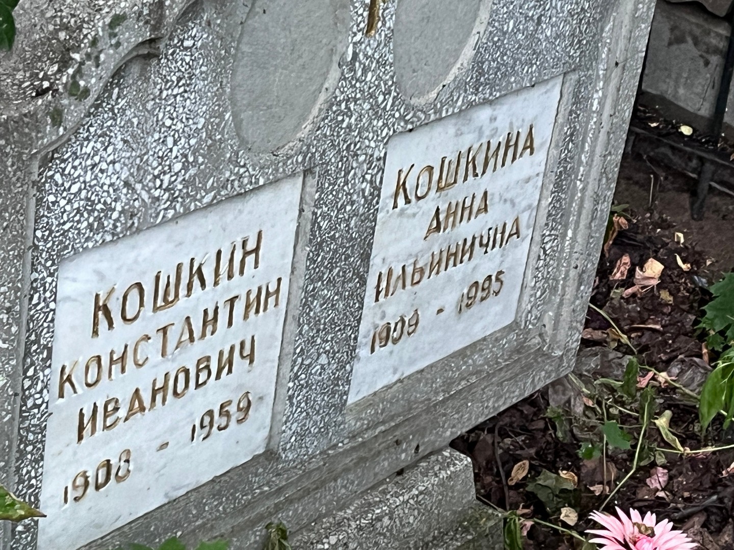 Кошкин