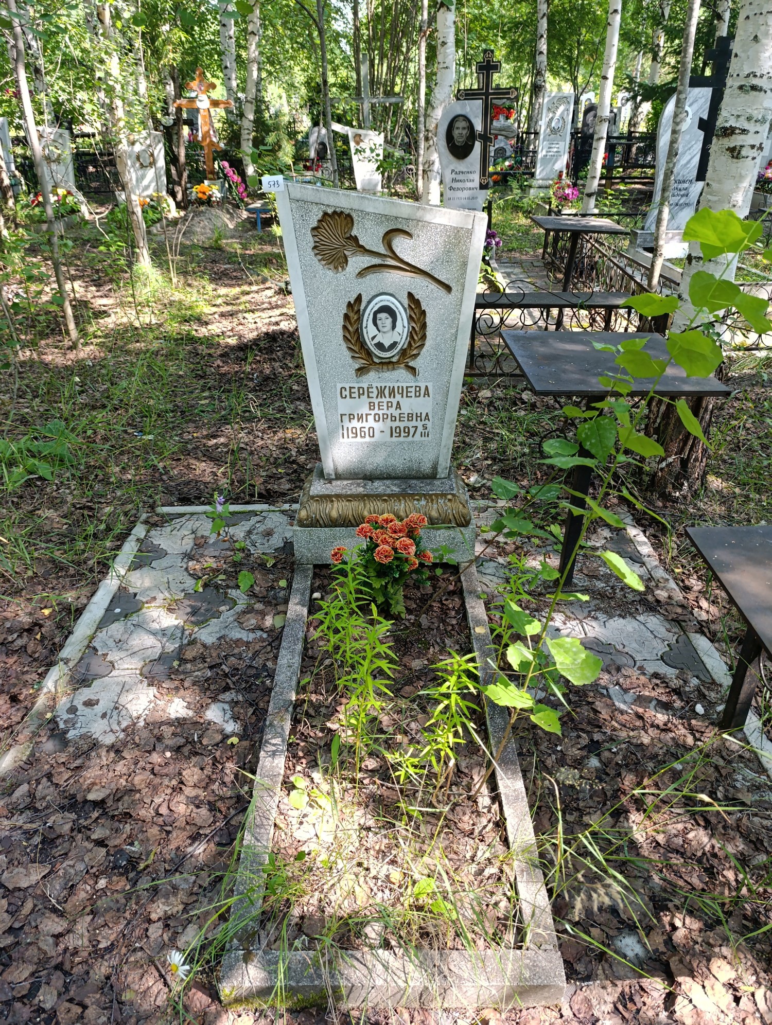 Сережичева Вера Григорьевна