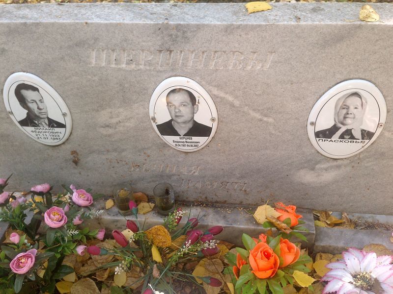 Шершнев