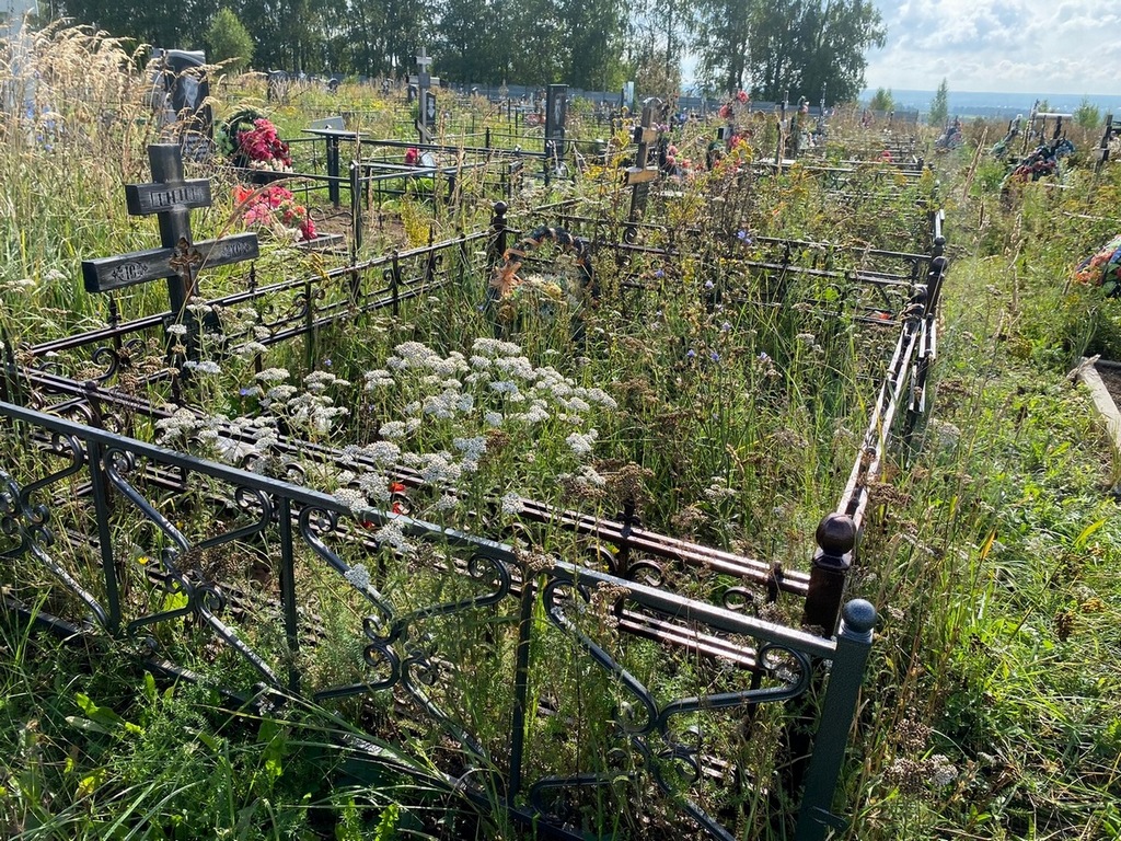 Голубева Апполинария Александровна