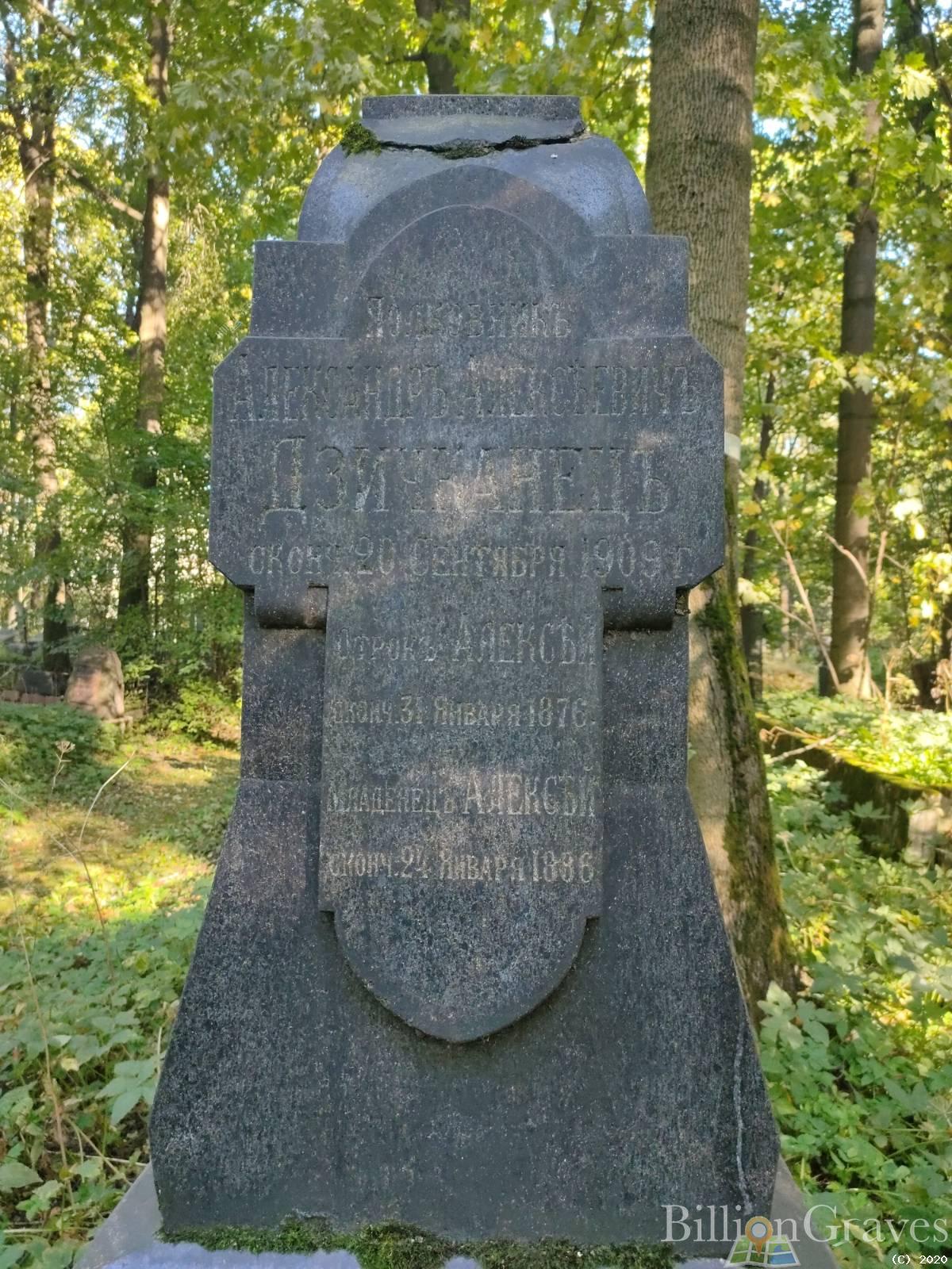 Дзичканец Александр Алексеевич
