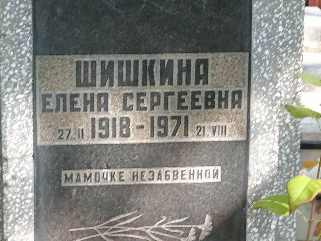 Шишкина Елена Сергеевна