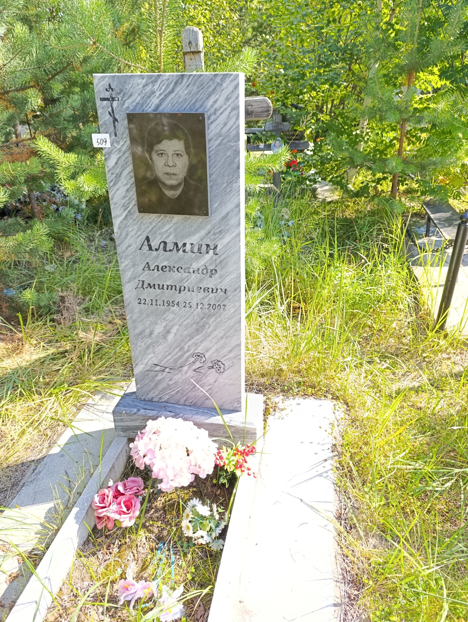 Алмин Александр Дмитриевич