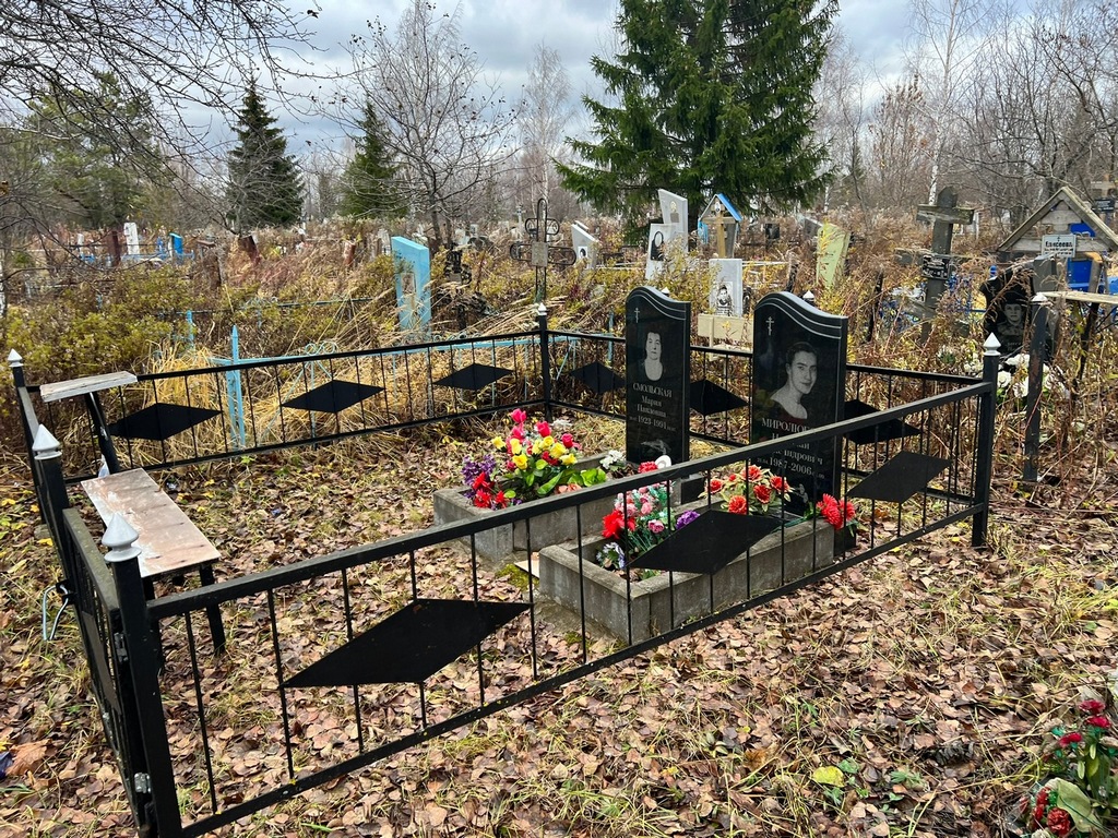 Миролюбов Николай Александрович