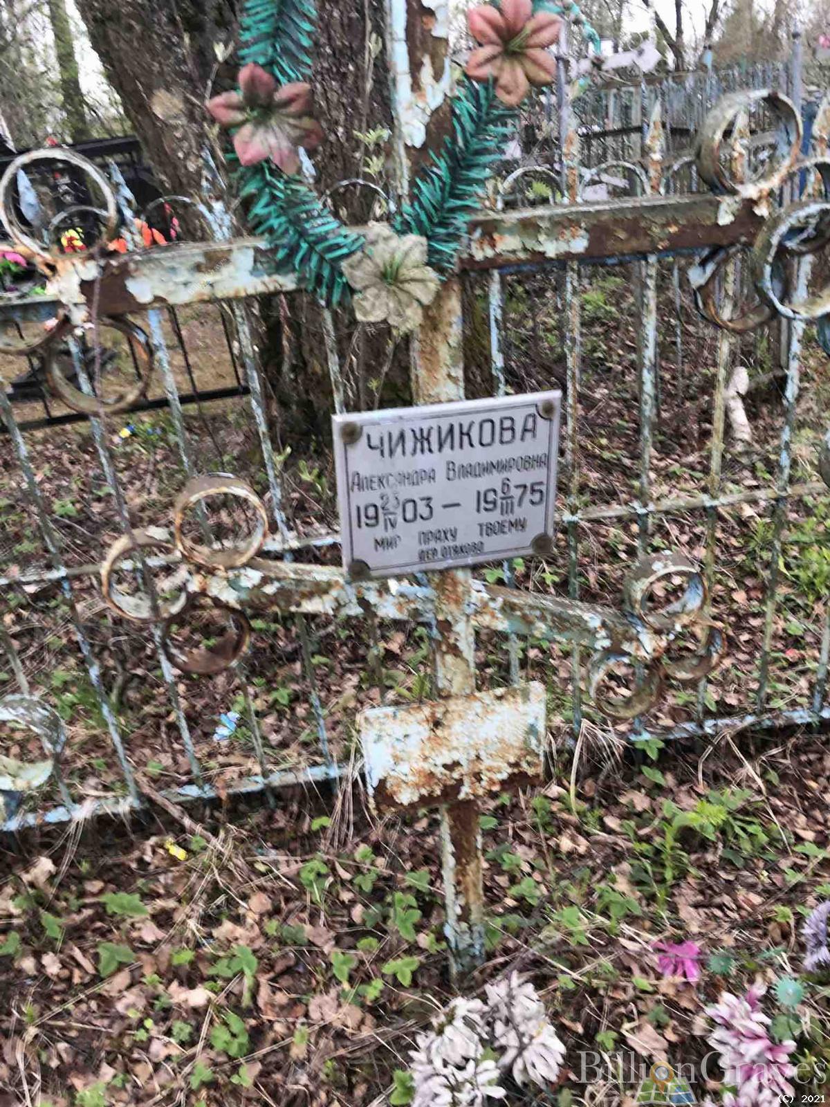 Чижикова Александра Владимировна