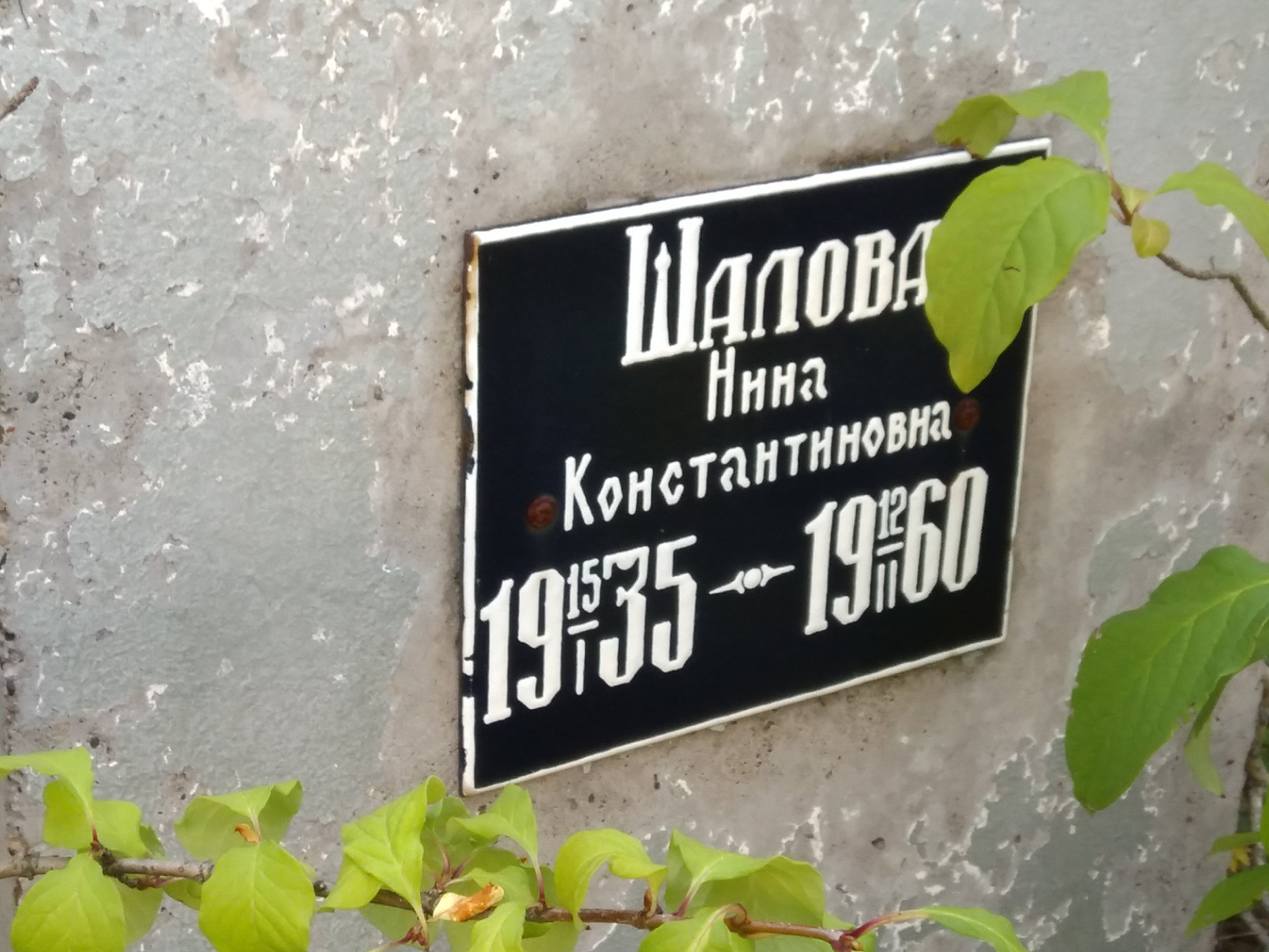 Шалова Нина Константиновна