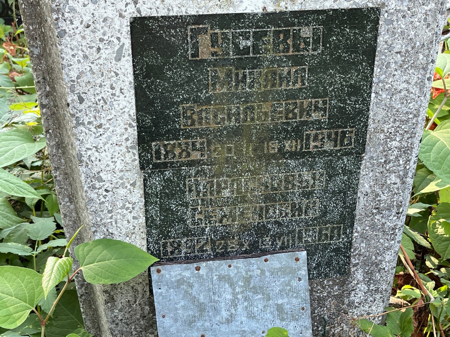 Гусев