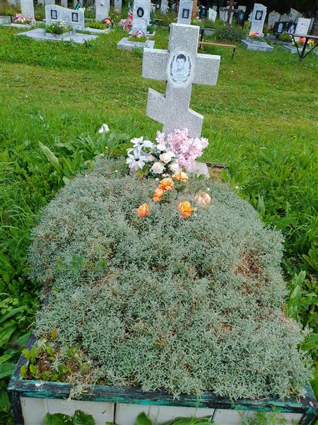 Кирилов Сергей Александрович
