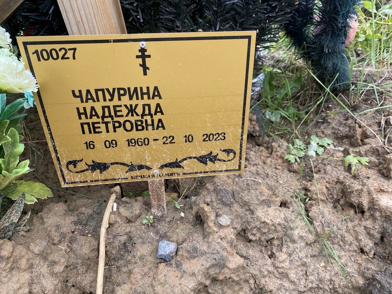 Чапурина