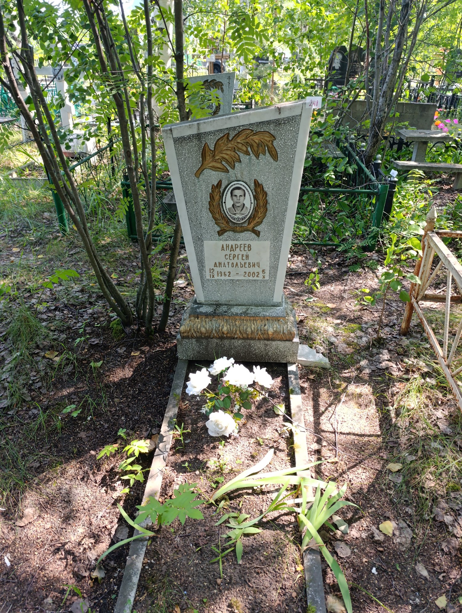 Андреев Сергей Анатольевич