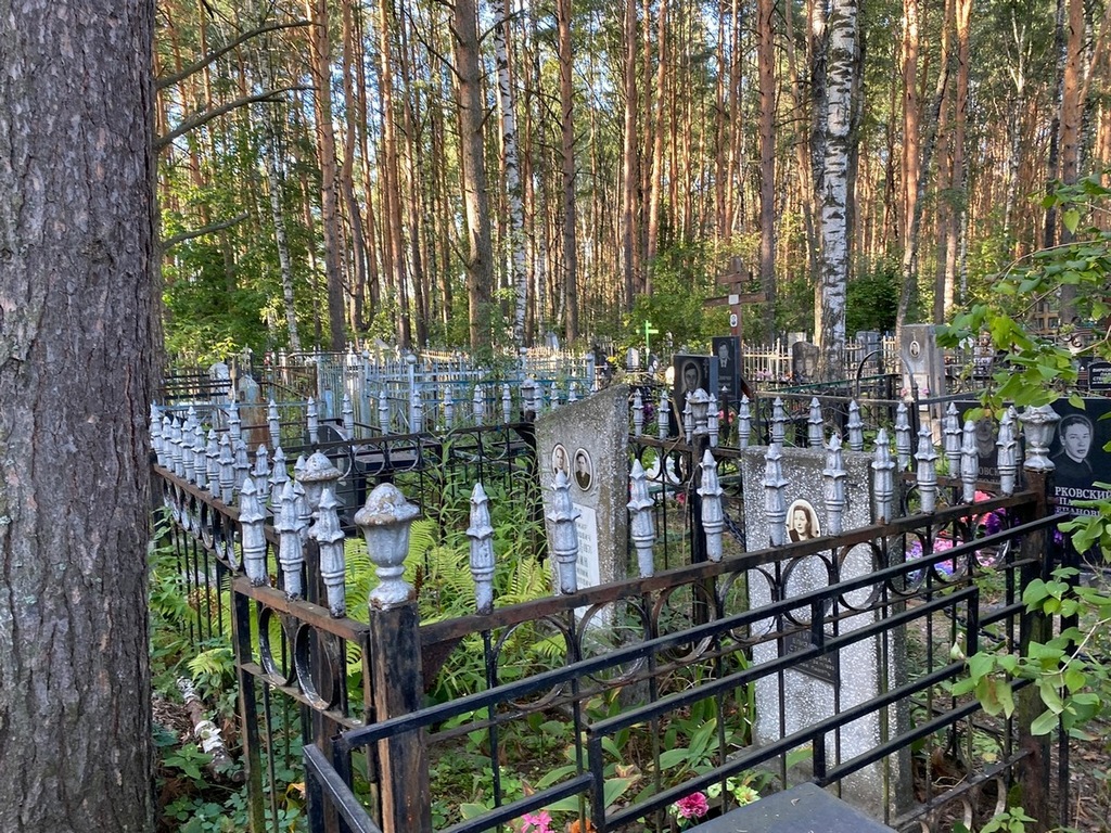Липс Елизавета Степановна