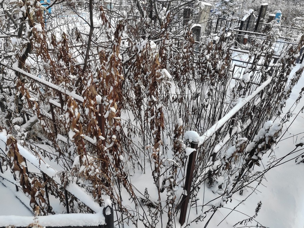 Истомина Зоя Николаевна