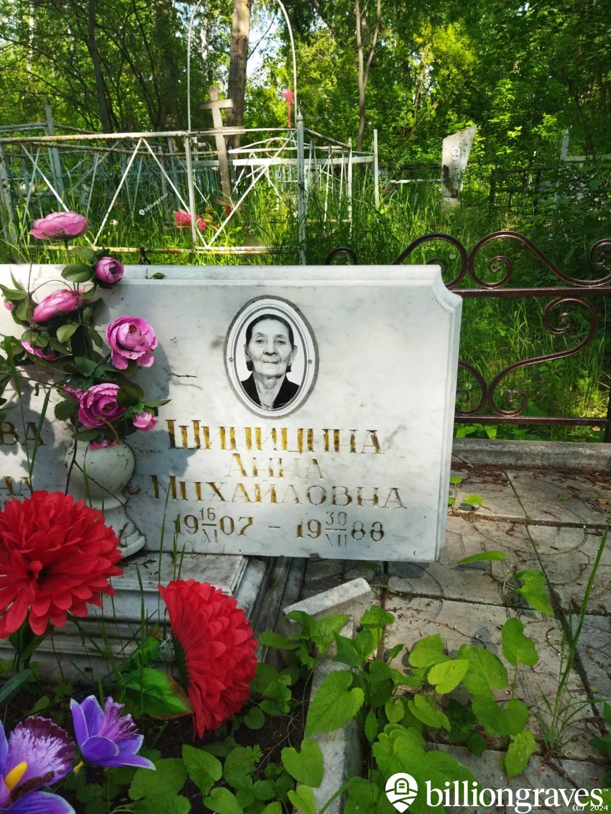 Шипицина Анна Михайловна
