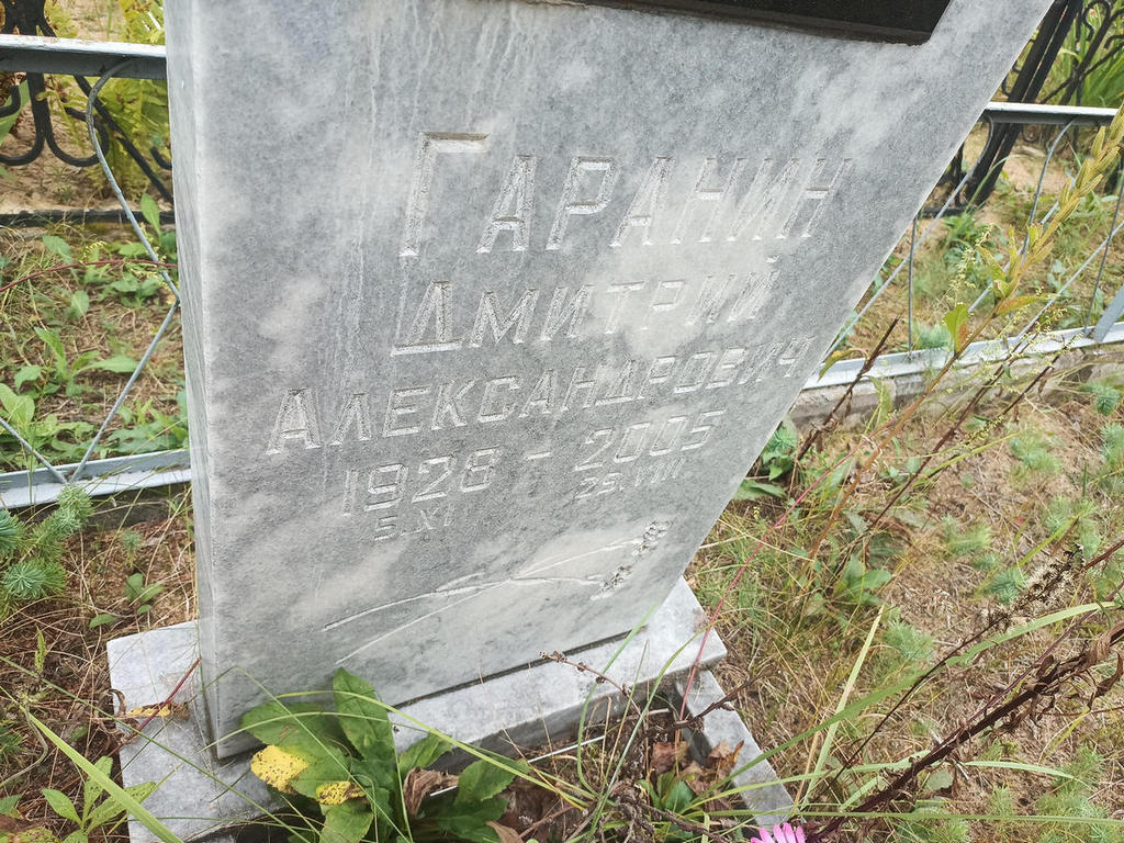 Гаранин Дмитрий Александрович