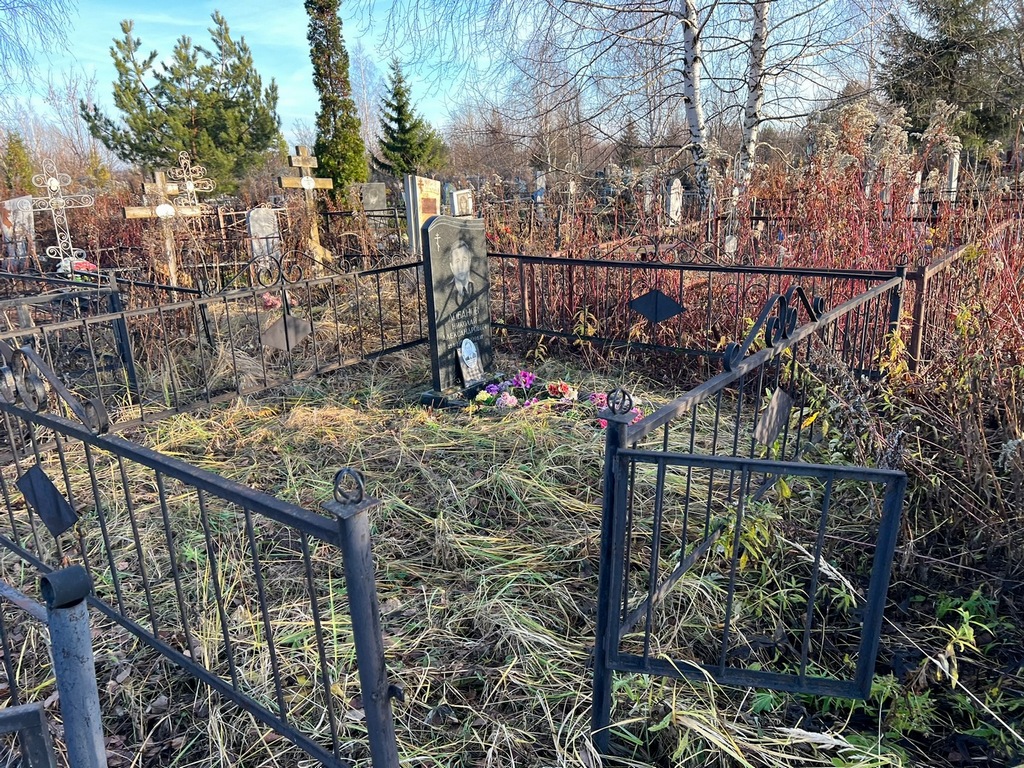 Лобанов Николай Александрович