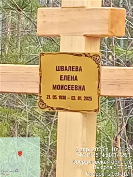 Швалева Елена Моисеевна