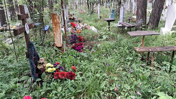 Косарева Евгения Степановна
