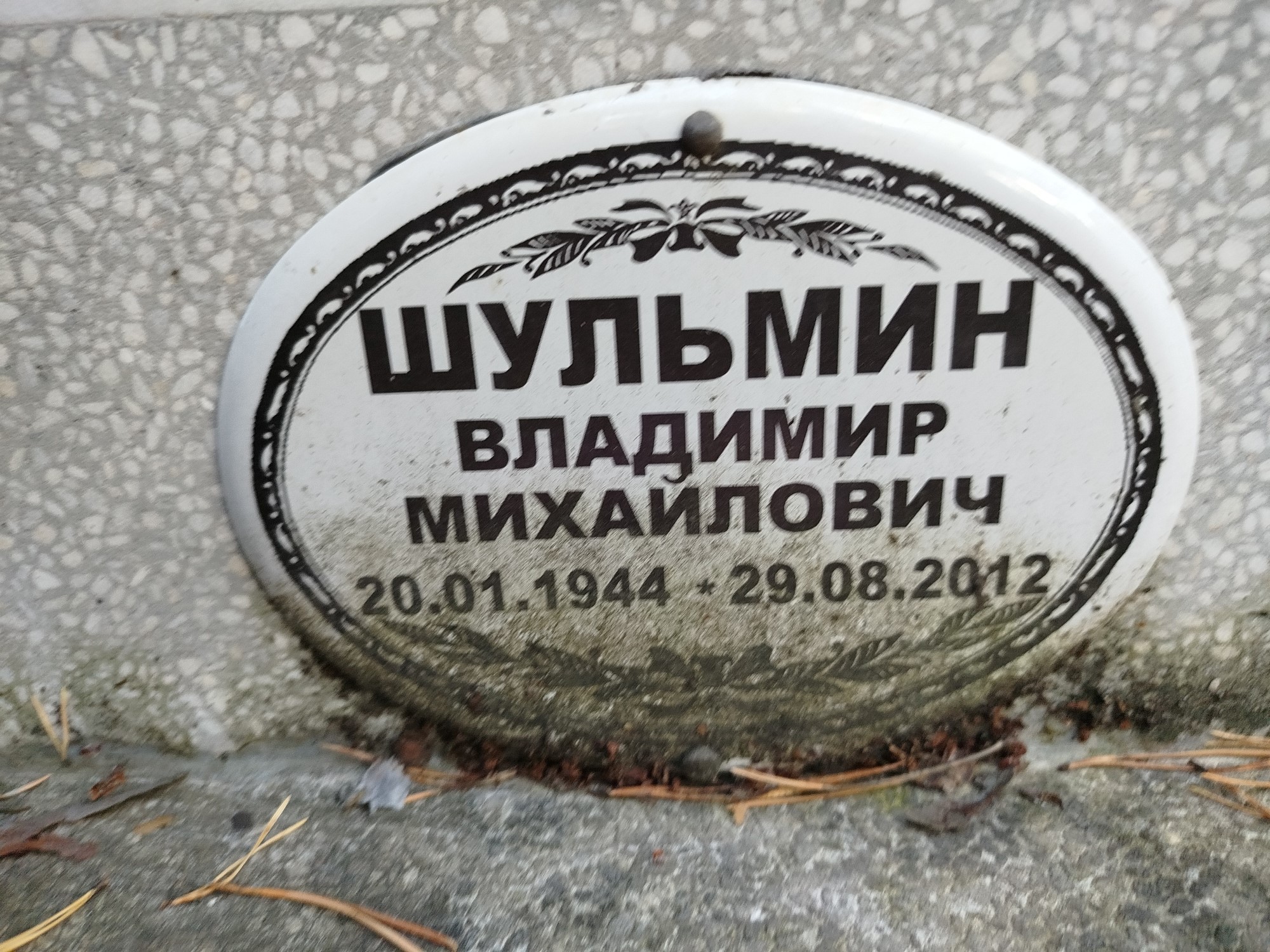 Шульмин Владимир Михайлович