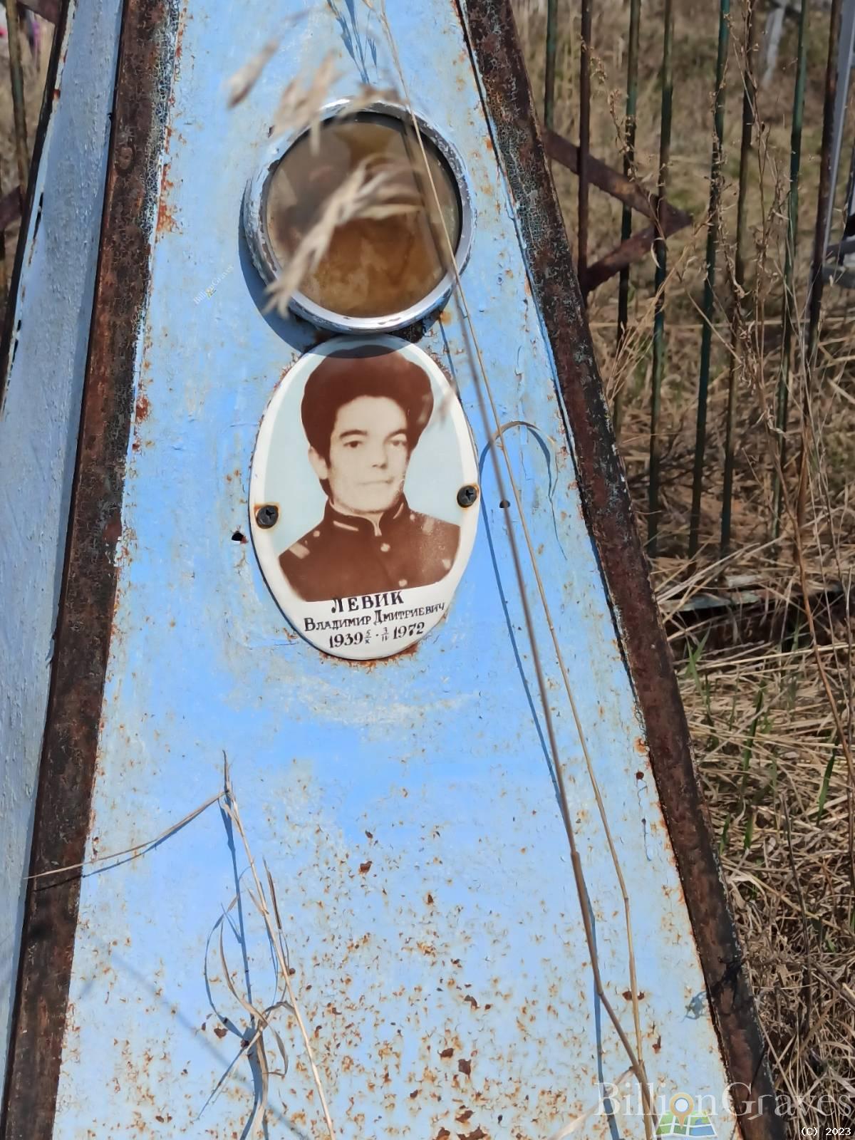 Левик Владимр Дмитриевич