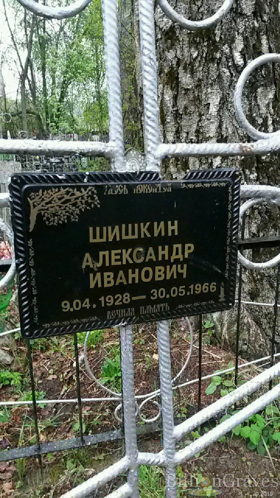 шишкин александр иванович