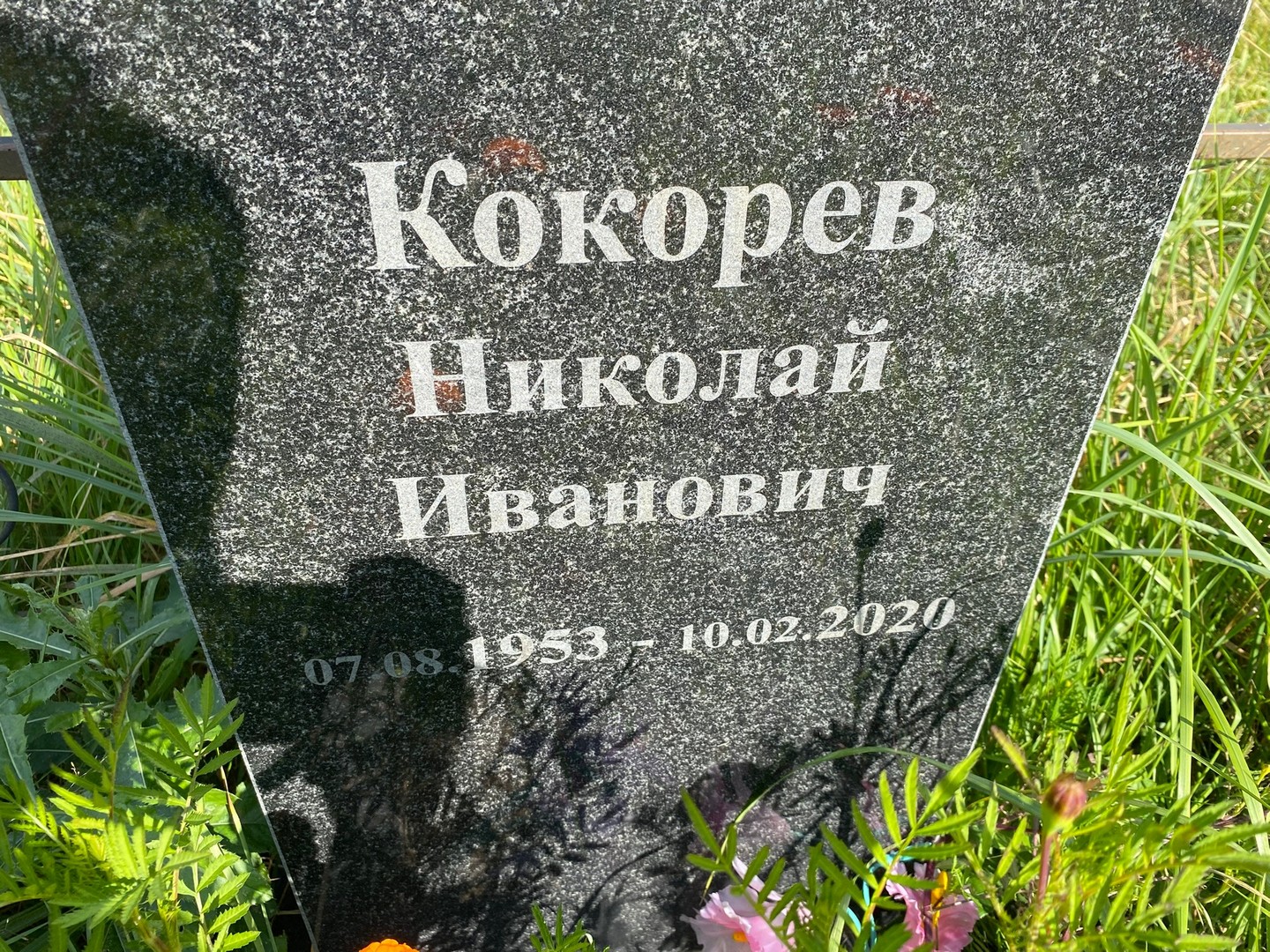 Кокорев