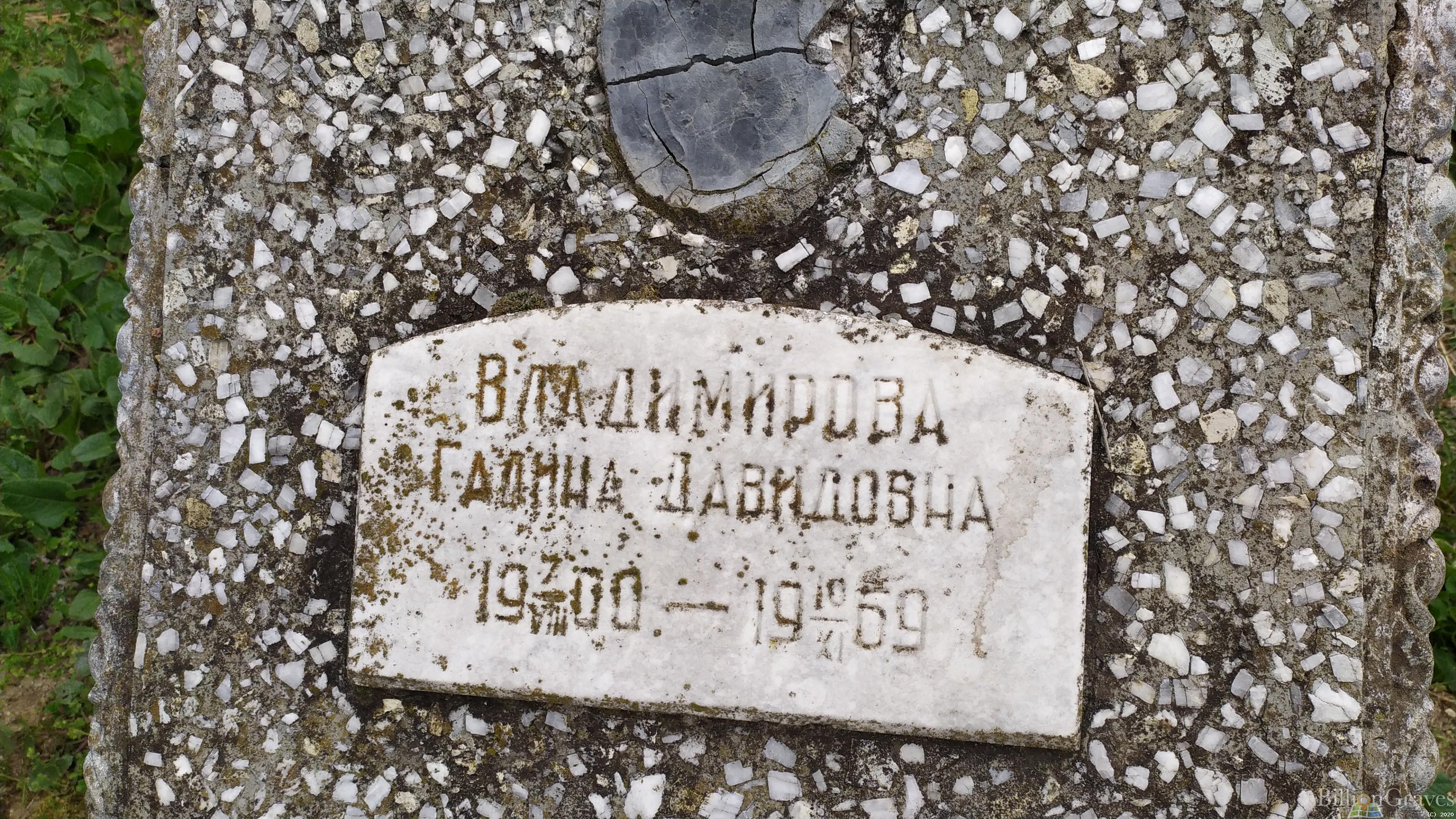 Владимирова Галина Давидовна