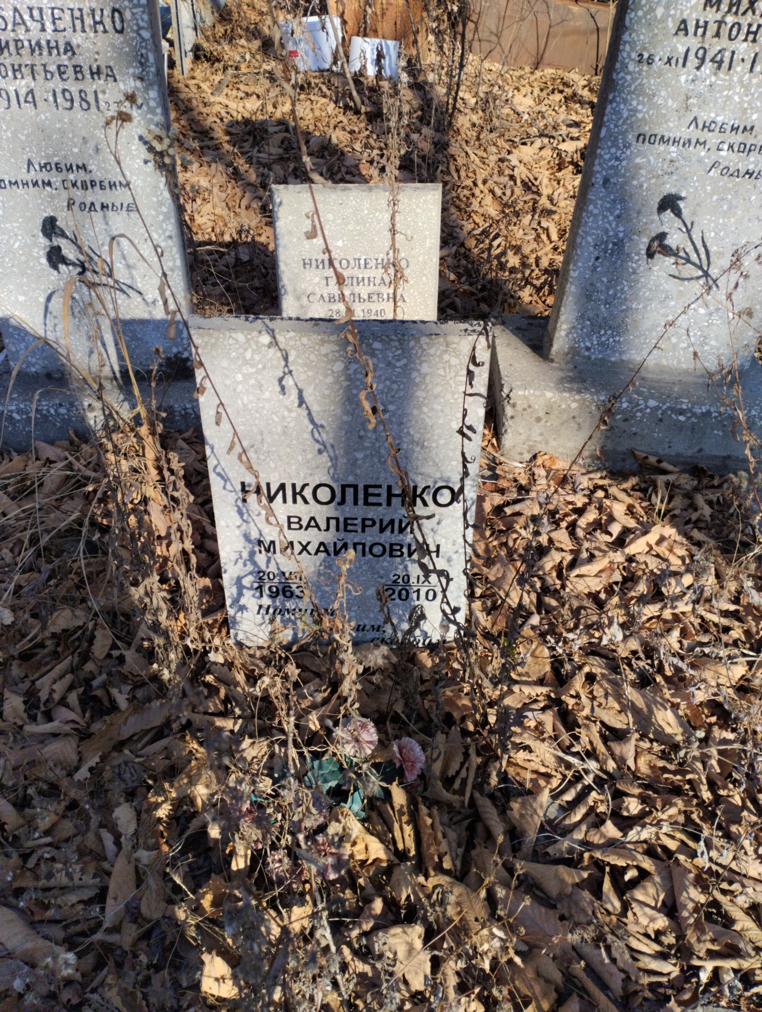 Николенко Валерий Михайлович