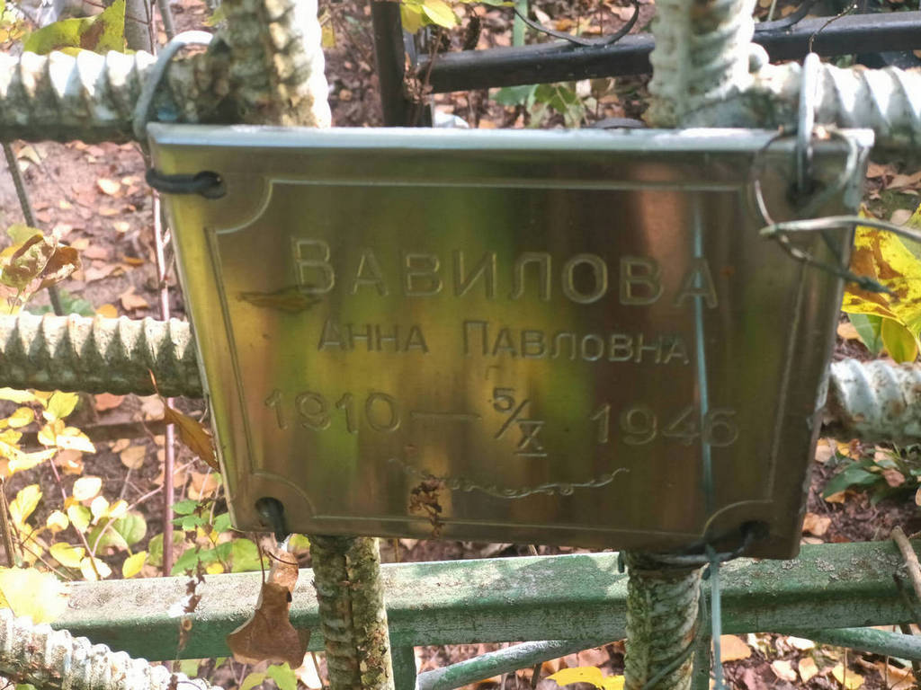 Вавилова Анна Павловна