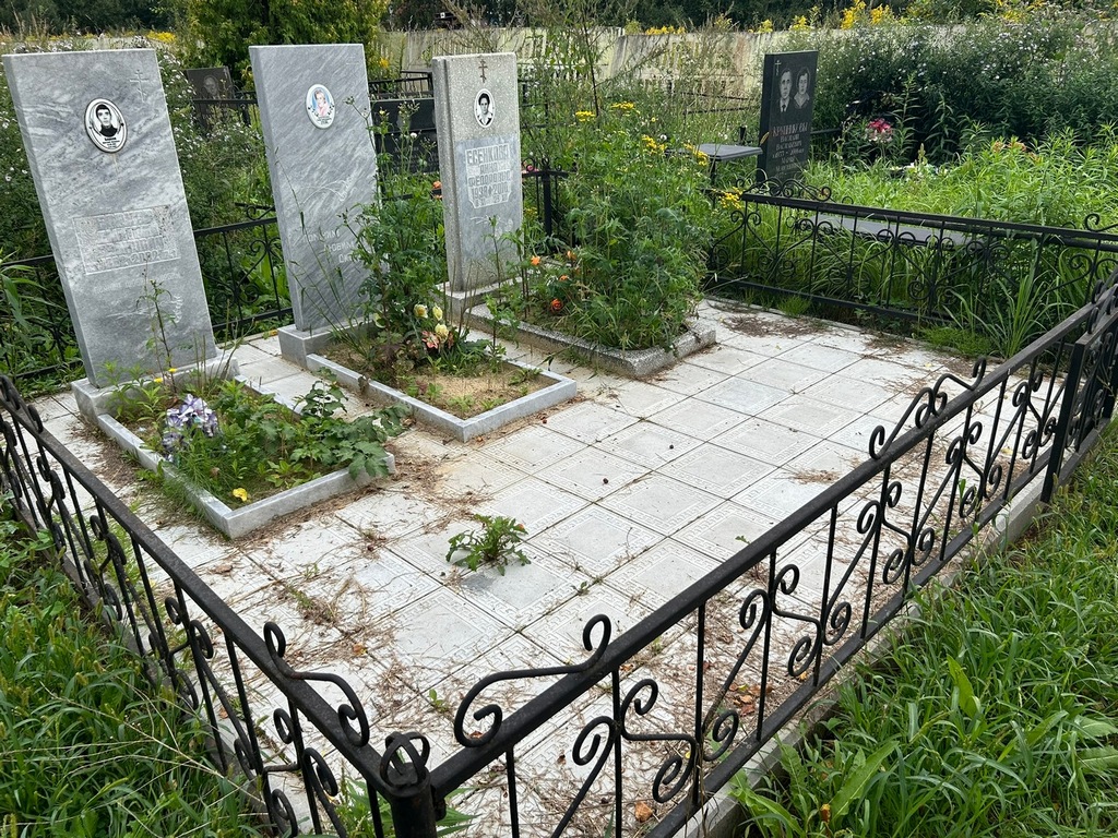 Борков Дмитрий Иванович