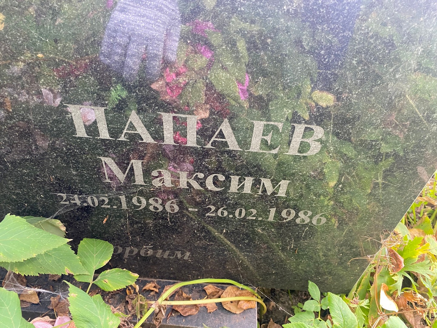 Папаев Папаев