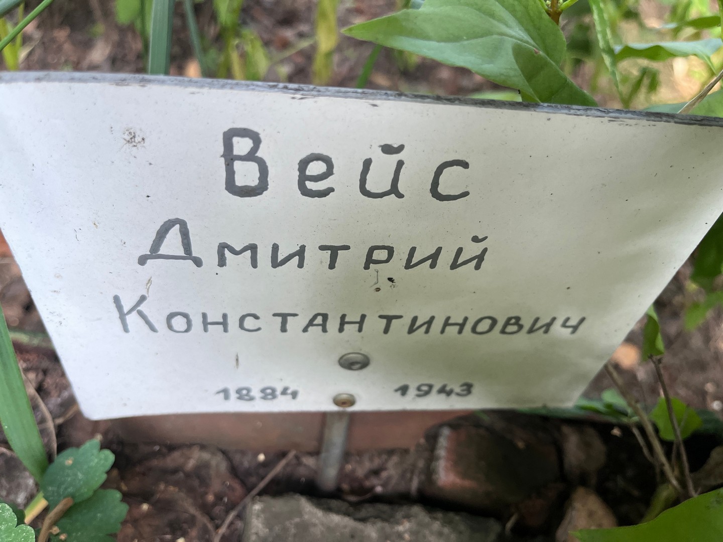 Вейс