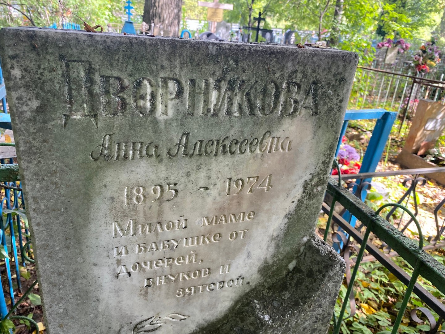 Дворникова