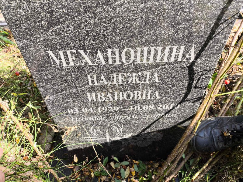 Механошина