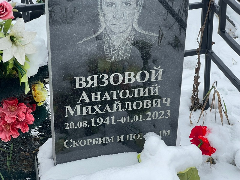 Вязовой