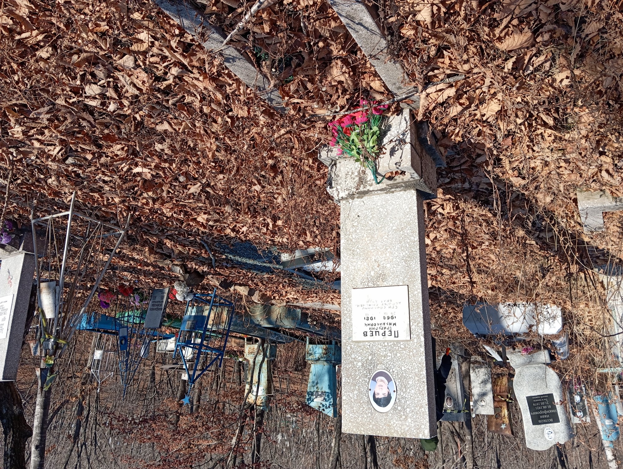 Перцев Григорий Михайлович