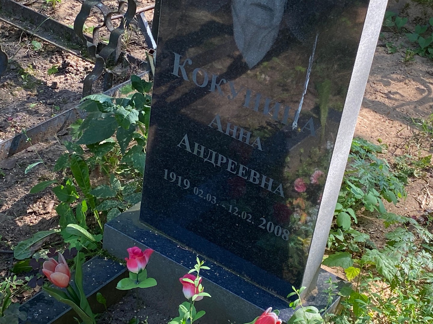 Кокунина