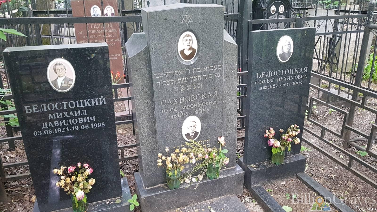 Белостоцкий Михаил Давидович