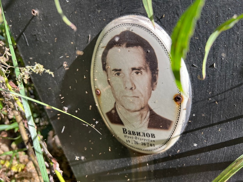 Вавилов