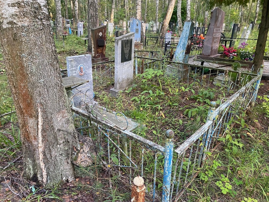 Карпушева Лидия Васильевна