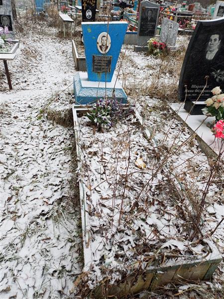Шадрин Александр Андреевич